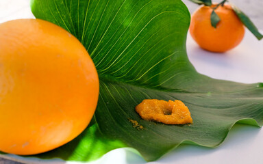 Smear of citrus body scrub on bright green leaf background. Orange and tangerine fruits. Sunlight. Natural and rejuvenating skincare practices, using fruit-based ingredients. Shallow depth of field.