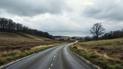 A scenic asphalt road curves through a tranquil landscape of rolling hills, sparse vegetation, and leafless trees under a cloudy sky. The scene is peaceful and evokes a sense of solitude.