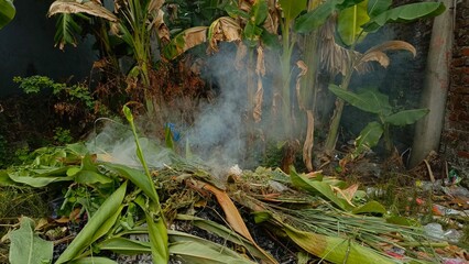 Fototapeta premium A large pile of burning dried banana leaf with banana tree behind it