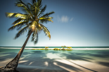 Palm Tree and shadows on a tropical beach, Praia dos Carneiros, Recife, Pernambuco, Brazil