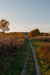autumn landscape with road