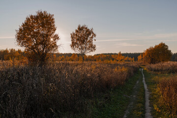 Obraz premium autumn landscape in the evening