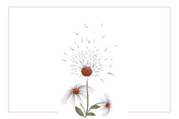 A watercolor Daisy flower frame background design
