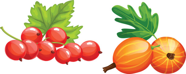 set of vegetables isolated on white