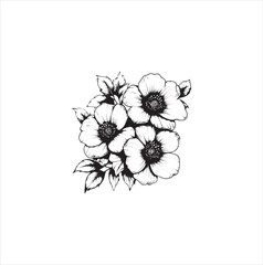 white flower isolated on white