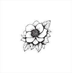 white flower isolated on white