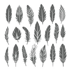 Obraz premium A shilhoutte feather vector design with white background