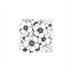 white flower isolated on white