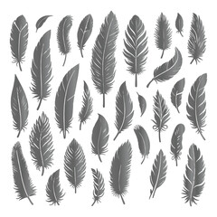 A shilhoutte feather vector design with white background