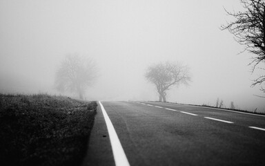 Misty Road in Slovakia Leading to Bare Trees in a Foggy Monochrome Landscape