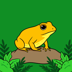 frog animal