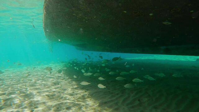 A motorboat stands over sandy bottom in a bay, in its shadow swim school of Strongspine silver-biddy, Gerres longirostris on bright sunny day, underwater view
