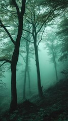 Fototapeta premium Misty forest scene with tall trees and ethereal atmosphere.
