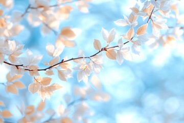 Delicate pastel leaves against a soft blue background.