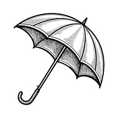 Open umbrella  black and white  ink drawing classic design and vintage illustration