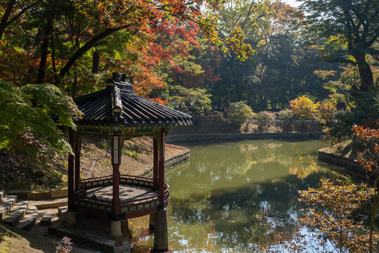 Seoul, South Korea - 28 October 2023: Gwallamjeong Pavilion in Secret Garden or Huwon of Changdeokgung Palace with autumn foliage. It was used as a place of leisure by members of the royal family