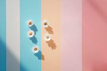 Colorful Stripes with Daisies on a Soft Background in a Minimalist Arrangement Creating a Fresh and Bright Atmosphere for Artistic and Decorative Use