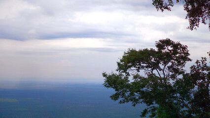 Image of tall branches with clouds behind and a sea of ​​mist on high mountains in winter.