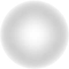 Grey Globe Icon with Americas View