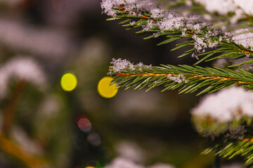 Christmas tree covered in snow with a soft bokeh of lights in the background