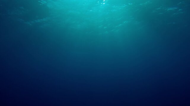 Sunlight rays shining through ocean surface, view from underwater, Bottom view of sun lits from blue abyss, Slow motion of light filters down through blue water, Underwater sunrays in blue depth ocean