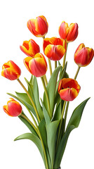 Vibrant Red and Yellow Tulips Spring Bouquet Flower Arrangement