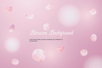 spring cherry flower background
