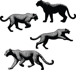 Fototapeta premium Beautiful leopard Silhouette animal illustration on a white background