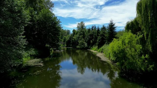 Drone view fling down the Sammamish River in Bothell  Washington on a clear summer day. POV point of view going down river with trees and vegetation