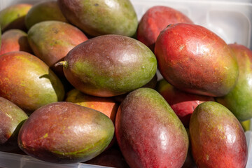 Ripe mangos with vibrant colors are stacked together in a market display, showcasing their freshness under the afternoon sun in a tropical locale