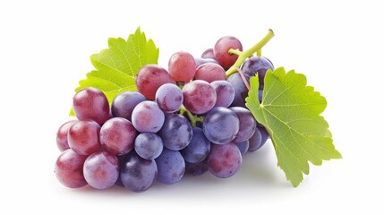 Fototapeta premium A Cluster of Red and Blue Grapes with Green Leaves, White Background.