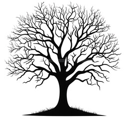 Obraz premium Majestic oak tree silhouette, nature, strength, growth