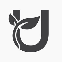 Initial Letter U Leaf Logo Concept For Eco Green Leaf Logo Vector Sign