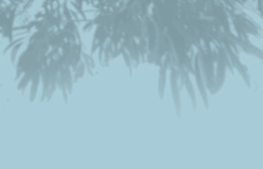 The shadow of many tree leaves on a blue wall. Black and white image for photo overlay or mockup