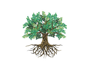 oak tree hand drawing