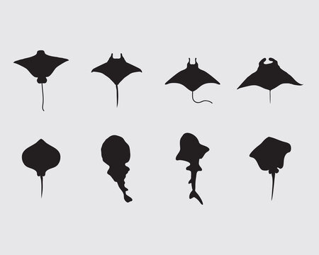 type of various rays fish silhouette.marine life ray vector illustration collection siolated on background