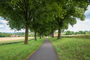 alley of the heroes, at the outskirts of Ebersberg, green landscape bavaria