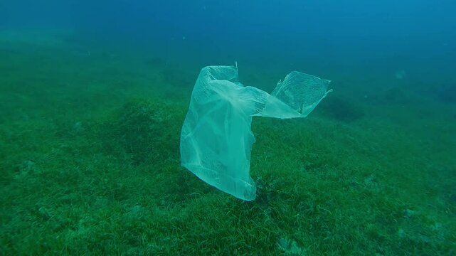 Approaching a old white plastic bag drifts on blue water column above seabed covered with green seagrass on sunny dat in sunrays, Closeup, Slow motion, Plastic pollution of the Ocean 