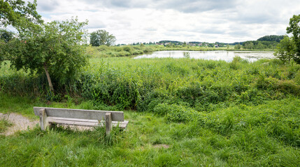 wooden bench at lake shore Egglburger See, protected area for birds