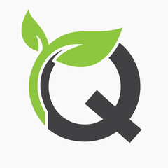 Initial Letter Q Leaf Logo Concept For Eco Green Leaf Logo Vector Sign
