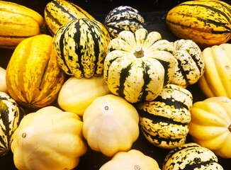 pumpkins on a market