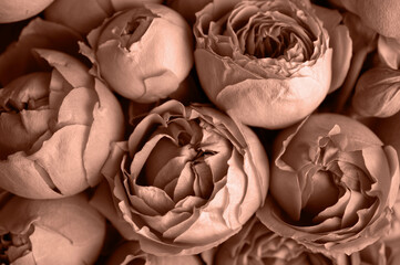 Decorative minimalist botanical background with leaf texture. Warming, brown chocolate and coffee trendy colors combination