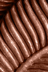 Decorative minimalist botanical background with leaf texture. Warming, brown chocolate and coffee trendy colors combination