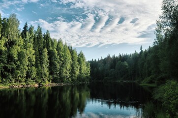 reflection of trees in lake