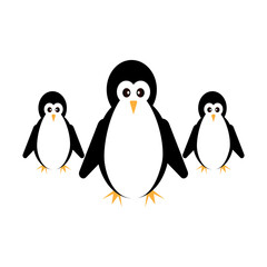 Isolated Nice Penguin With White Background