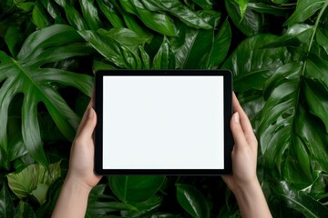 The image depicts a woman's hands holding a black tablet pc with a blank white desktop screen and a green background showing nature.