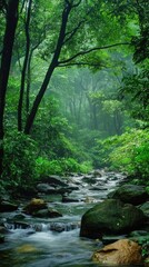 Obraz premium Serene Stream Flowing Through Lush Green Forest
