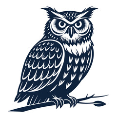 Obraz premium this is a very nice owl 