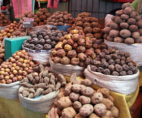 Different types of potatoes for sale in the market, Arequipa Peru
