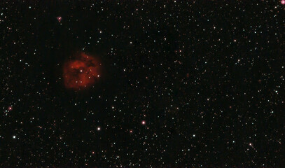 cocoon nebula in the dark . ic 5146